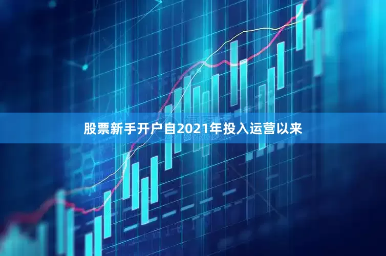 股票新手开户自2021年投入运营以来