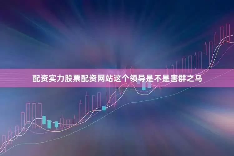配资实力股票配资网站这个领导是不是害群之马